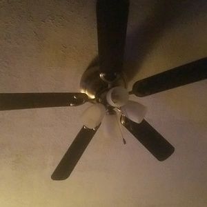 Meet your Posher, Adrianne